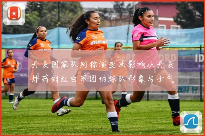 丹麦国家队别称演变及影响从丹麦炸药到红白军团的球队形象与士气