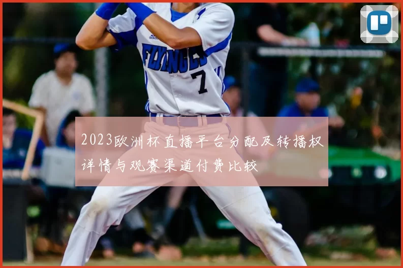 2023欧洲杯直播平台分配及转播权详情与观赛渠道付费比较