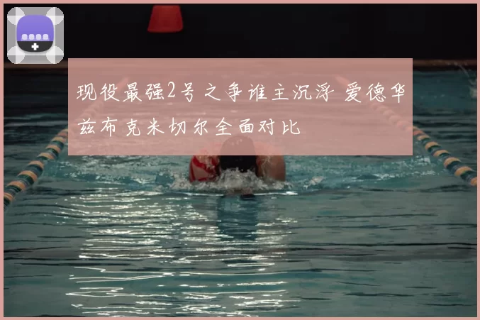 现役最强2号之争谁主沉浮 爱德华兹布克米切尔全面对比