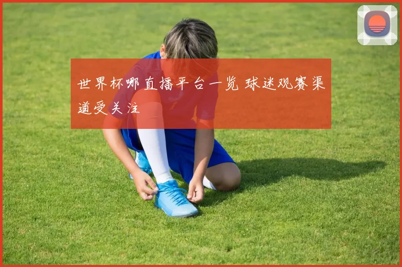 世界杯哪直播平台一览 球迷观赛渠道受关注