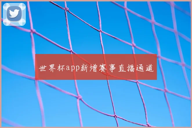 世界杯app新增赛事直播通道