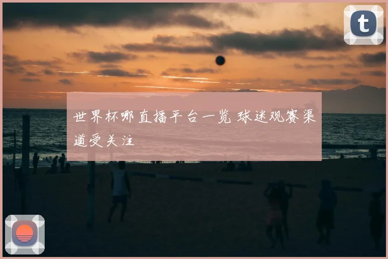 世界杯哪直播平台一览 球迷观赛渠道受关注