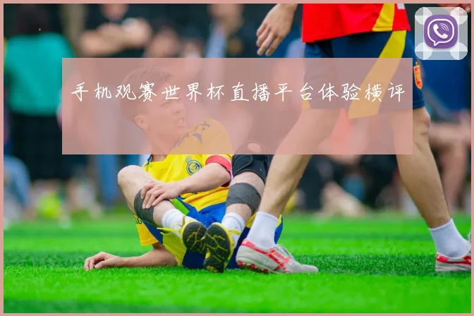 手机观赛世界杯直播平台体验横评
