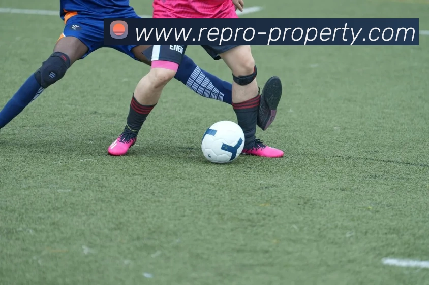 多媒体互动体验